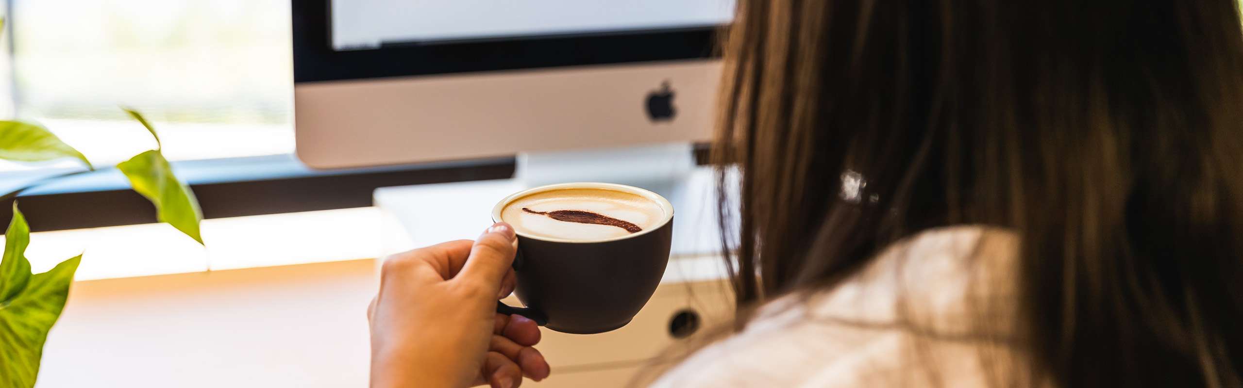 marketing sunshine coast