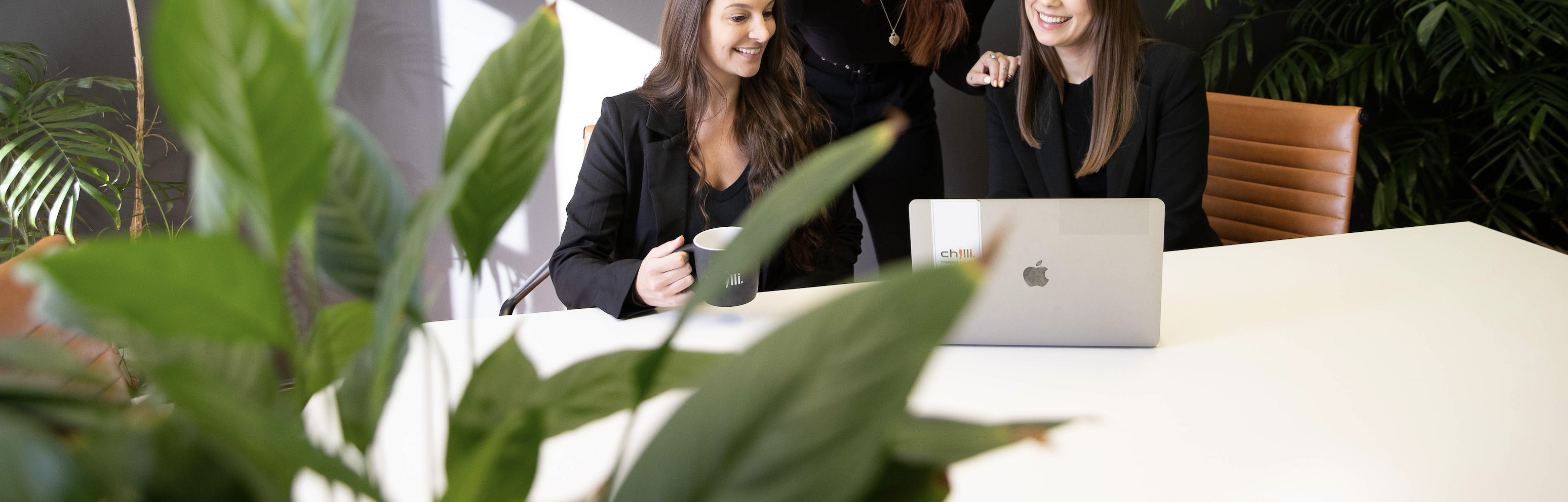 seo agency sunshine coast digital marketing sunshine coast seo noosa