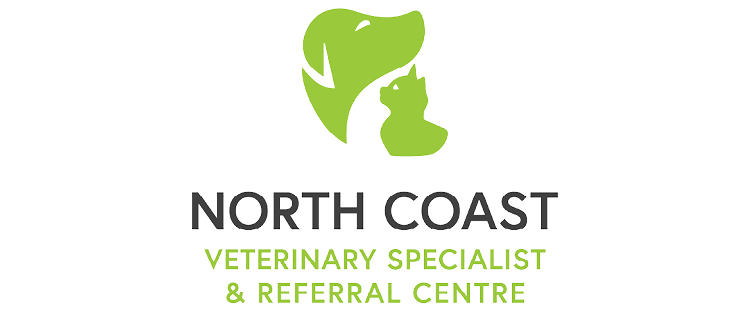 Professional Services - Chilli Professional Services Logo10