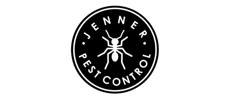 Professional Services - Chilli Professional Services Logo11