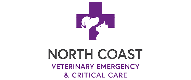 Professional Services - Chilli Professional Services Logo9