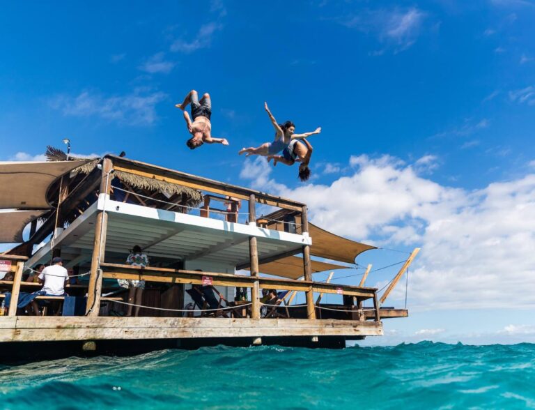 Chilli - Digital Marketing Agency - Sunshine Coast - Chilli