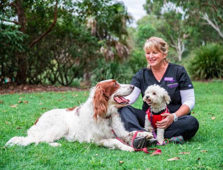 Chilli - Digital Marketing Agency - Sunshine Coast - Chilli