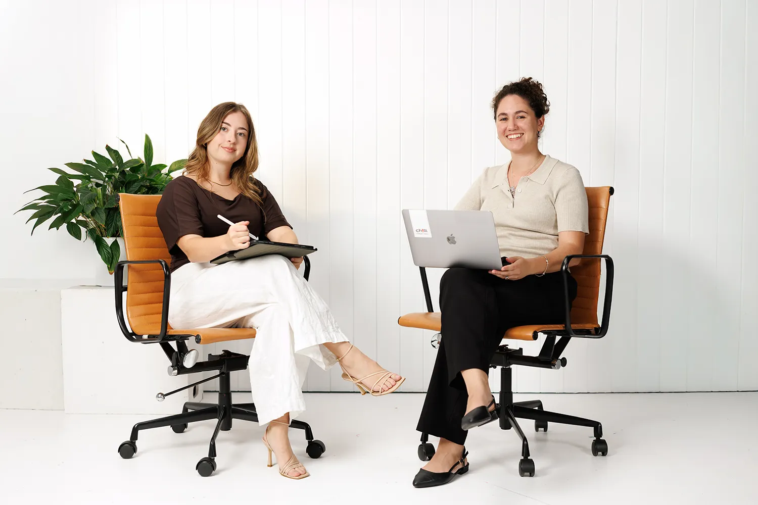 SEO Sunshine Coast - Chilli SEO Sunshine Coast - Chilli