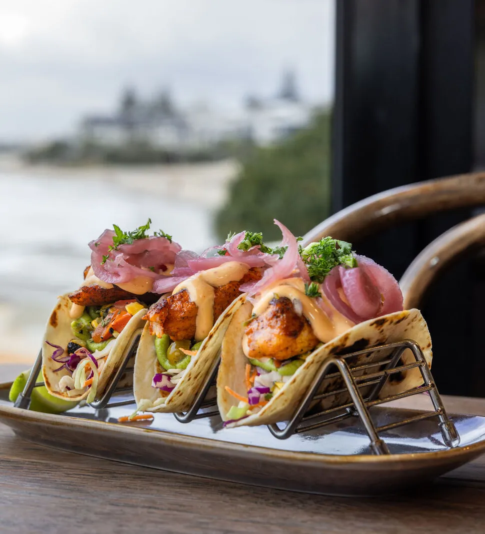 Chilli - Digital Marketing Agency - Sunshine Coast - Chilli