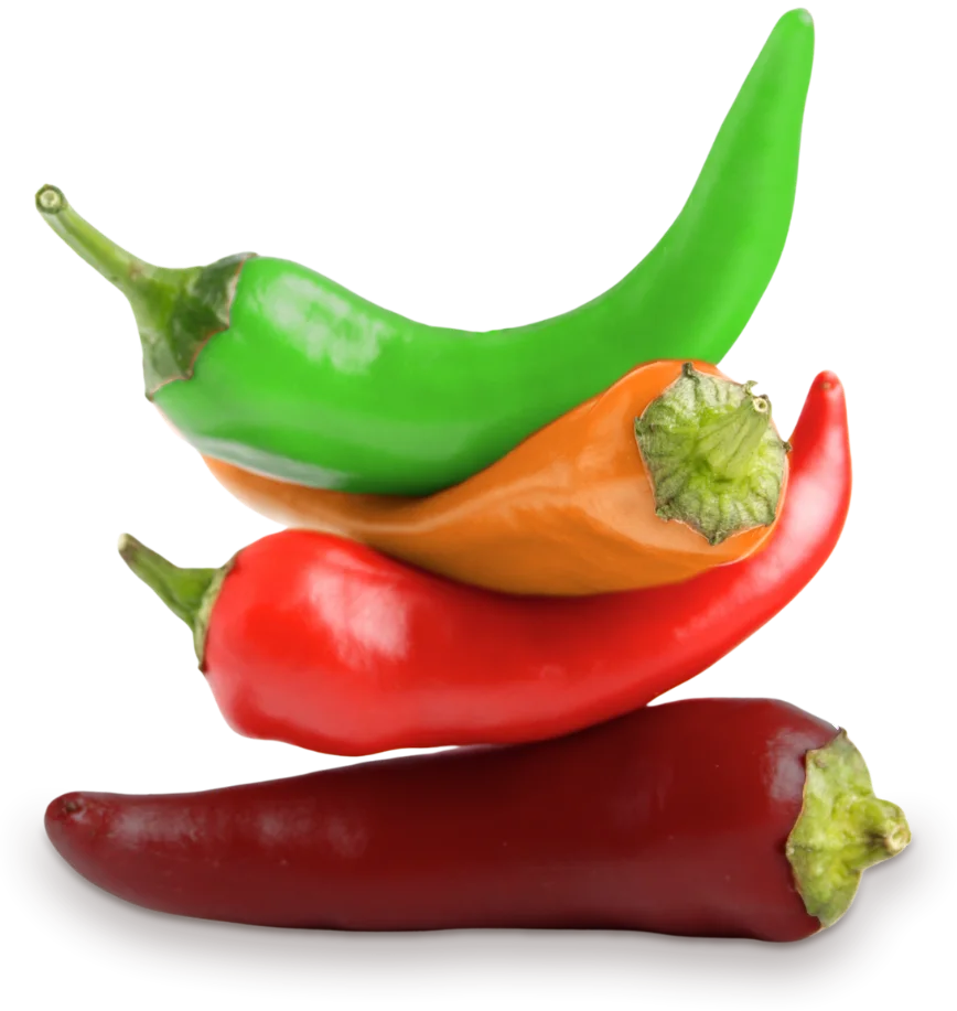 Chilli - Digital Marketing Agency - Sunshine Coast - Chilli Chilli - Digital Marketing Agency - Sunshine Coast - Chilli