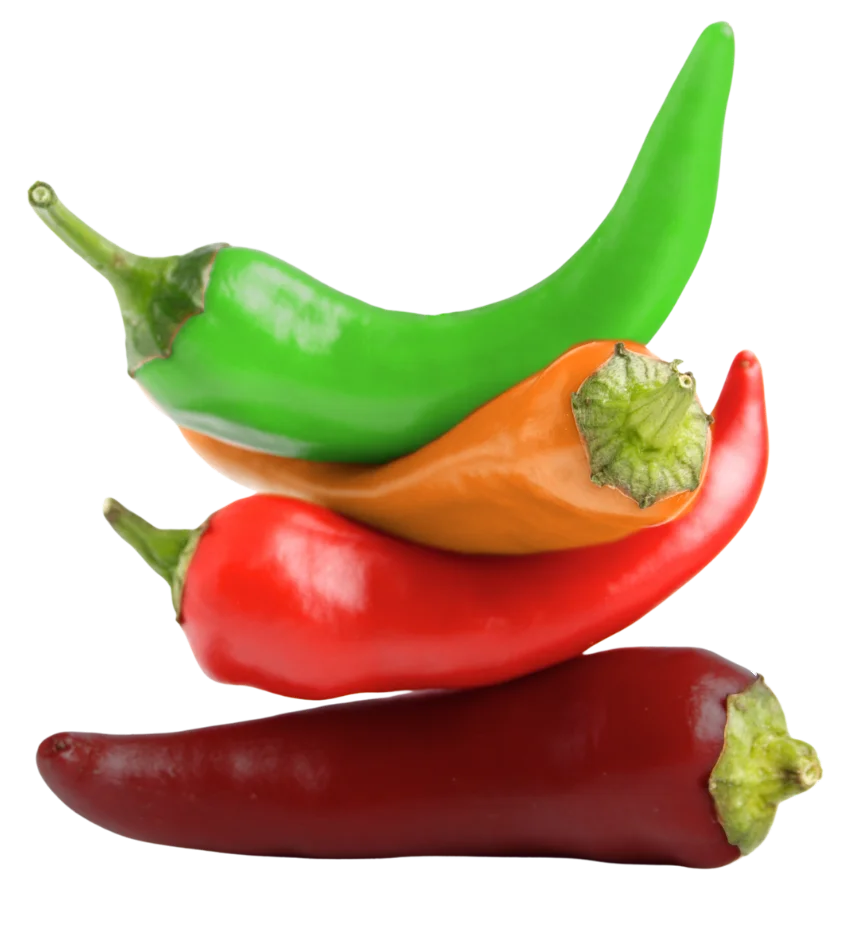 Chilli - Digital Marketing Agency - Sunshine Coast - Chilli